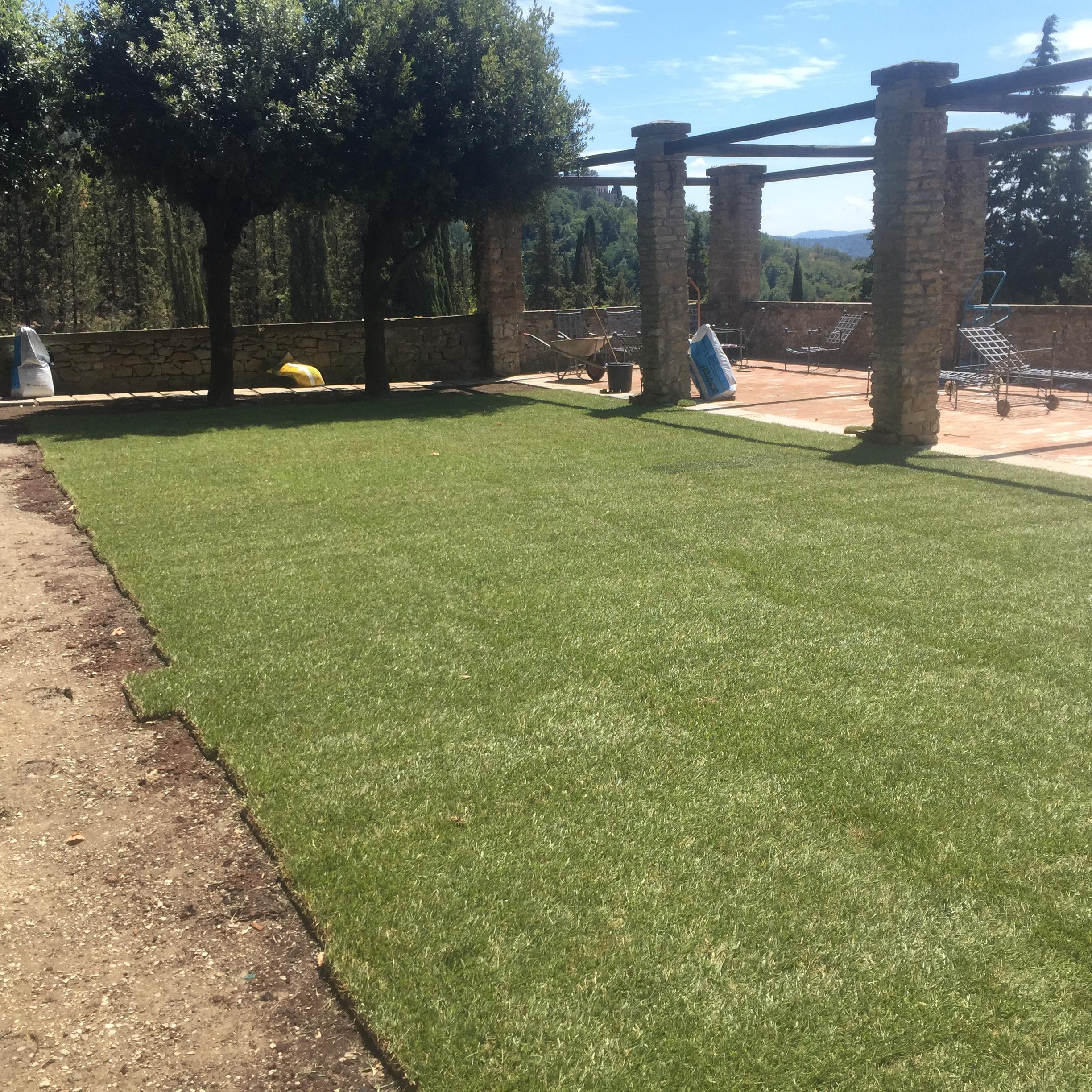 Realizzazione giardino a Prato - 2