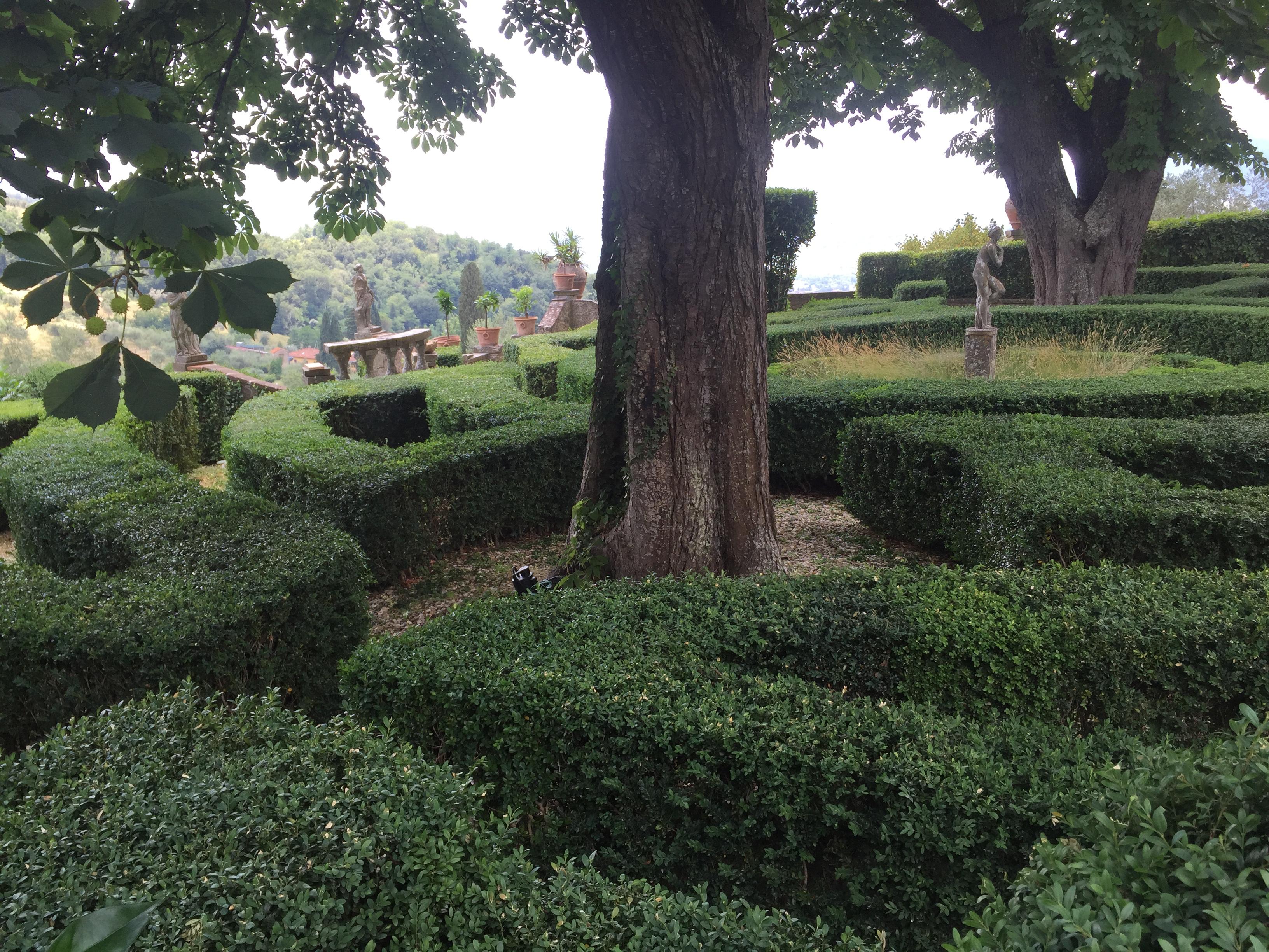 Realizzazione giardino a Prato - 4